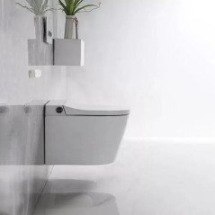 Toilette japonais suspendu, Cobis blanc