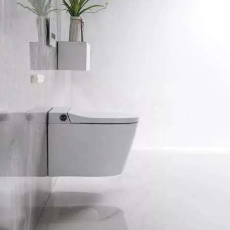 Toilette japonais suspendu, Cobis blanc