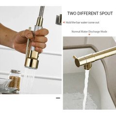 Mitigeur Diam's : Robinet doré élégant avec bec extractible et 2 jets