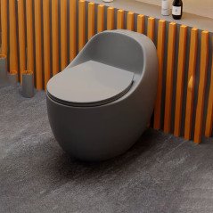 "Toilette monobloc design, sans bride, chasse 3/6L – Élégance et hygiène"