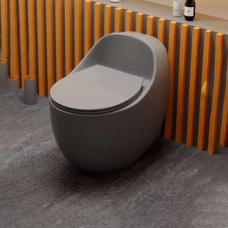 "Toilette monobloc design, sans bride, chasse 3/6L – Élégance et hygiène"