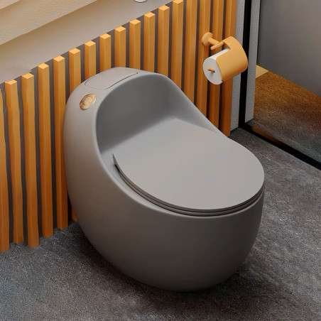 Toilettes Monobloc sans bride, gris