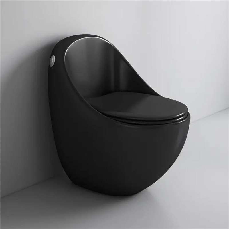 Toilette noir monobloc sans bride, design luxe, chasse éco 4.8L – Élégance