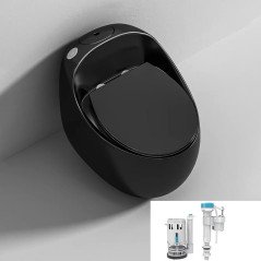 Toilette noir monobloc sans bride, design luxe, chasse éco 4.8L – Élégance