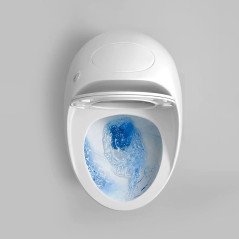 Toilette blanc monobloc sans bride, design chic, chasse éco 3/6L – Moderne