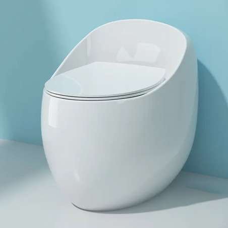 Toilette sans bride blanc monobloc