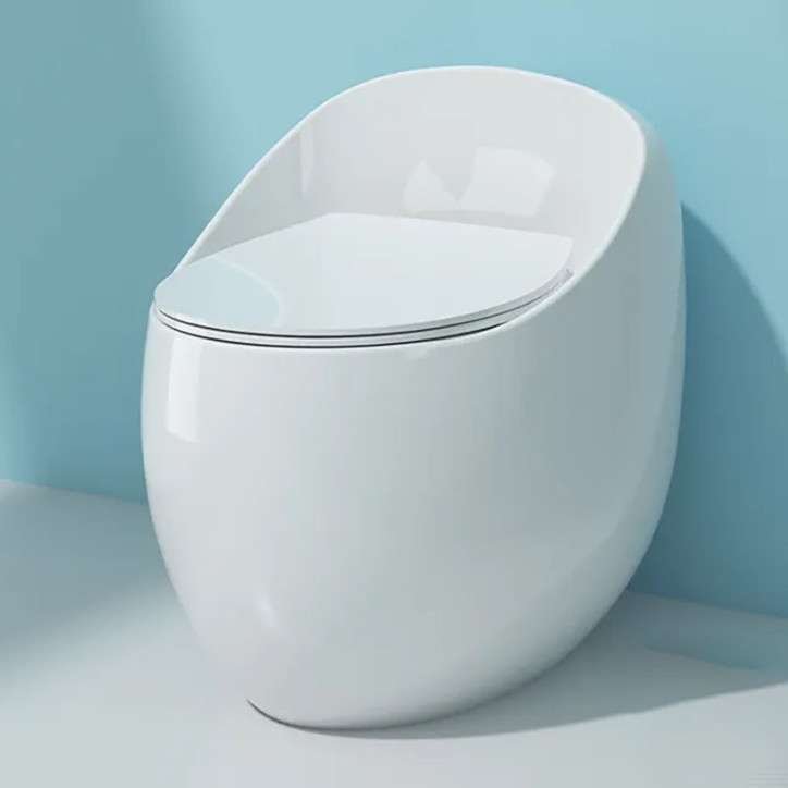 Toilette sans bride blanc monobloc