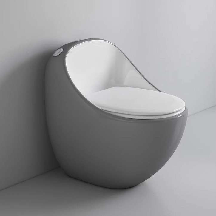 Toilette Monobloc sans bride, gris et blanc