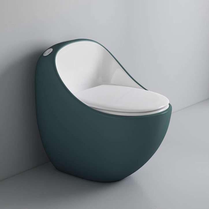 Toilette Monobloc sans bride, vert et blanc
