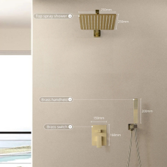 Douche Murale Benise : Luxe Doré Brossé, Design Élégant et Écologie